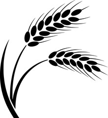 Black wheat stalks with seeds grain agriculture