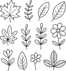 Hand drawn botanical elements collection leaf flower