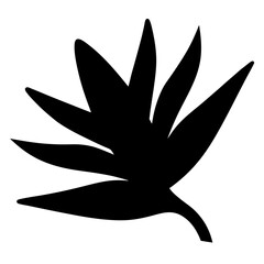 Abstract black foliage illustration of a stylized plant with spiky leaves