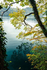 The magical atmosphere of Lake Bled in autumn. Among boats and mystical charm. Slovenia