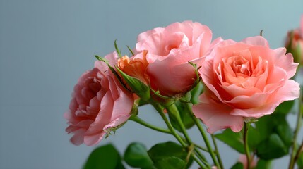 Obraz premium Elegant Pink Roses in Vintage Vase