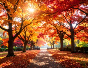Obraz premium Leaf Peeping in Scenic Autumn Park