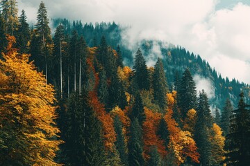 Autumnal mountain forest scene with colorful trees and misty peaks