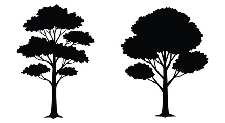 Fototapeta premium Two Silhouettes of Trees Against a White Background