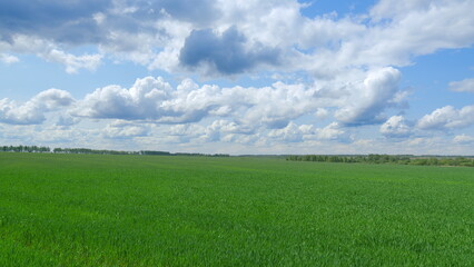A Vibrant Green Field Positioned Beneath a Beautifully Bright Blue Sky on a Sunny Day