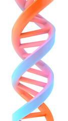 A colorful DNA double helix structure with a transparent background. The helix features a gradient of pink and blue colors, showcasing the intricate design of genetic material.