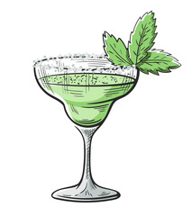 Margarita cocktail with lime and mint hand drawn
