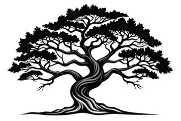 Detailed silhouette of a big old tree showing twisted trunk on white backdrop © SWORNALY