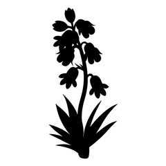 Striking silhouette of a flowering plant featuring distinct blossoms and leaves