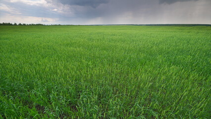 A Lush Green Field Beneath Dramatic and Stormy Skies Creating a Breathtaking View