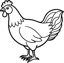 Farm animal poultry drawing with cartoon rooster and hen silhouette