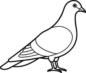 White dove pigeon vector illustration isolated on white background flying bird symbol of peace and freedom