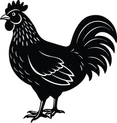 Red-brown rooster and hen, domestic farm birds, isolated on a white background