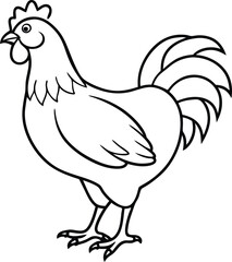 Cartoon hen, rooster, and chick with feathers and funny beak isolated on a white background