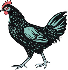 White isolated rooster with black feathers and beak vector illustration