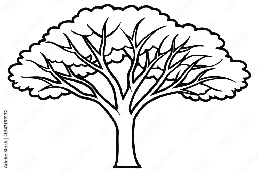 Wall mural outlined tree displays broad canopy with winding branches on a white background vector