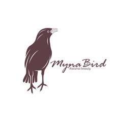 Myna Bird logo design vector. Silhouette Myna Bird Template Illustration