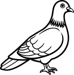 Dove of peace and pigeon vector illustration in a simple artistic style
