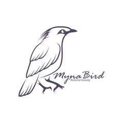 Obraz premium Bali Myna Bird logo design vector. Silhouette Myna Bird Template Illustration
