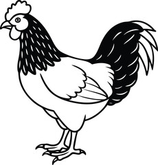 Cartoon white chicken, hen, or rooster fowl bird with red comb and wattle is a funny domestic farm animal illustration