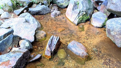 Clear mountain stream water pooling among smooth natural rocks, reflecting sunlight and surrounded by untouched forest scenery