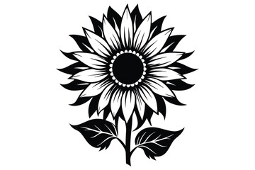 Simple sunflower with detailed petals and leaves shows a full bloom against white