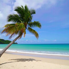 Fototapeta premium Lone palm tree leaning over a tranquil, turquoise ocean beach under a partly cloudy sky