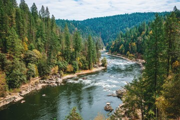 High-angle view of a river winding through a lush, forested canyon