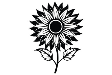 Isolated sunflower features detailed petals and leaves in black and white on white