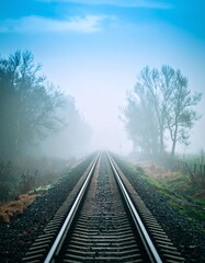 Fototapeta premium Misty morning railroad tracks receding into fog-shrouded trees