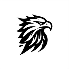Fototapeta premium Stylized black and white eagle head logo design