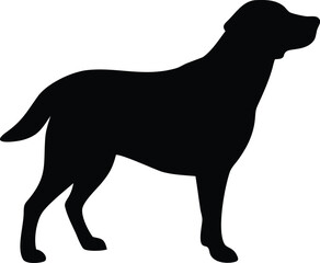 Black and white Dog silhouette vector illustration	