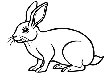 Detailed black and white line drawing depicts a rabbit with a white background