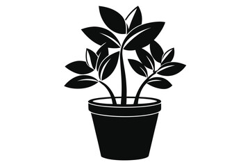 Minimalist black potted plant displaying detailed leaf veins creating a striking contrast on white