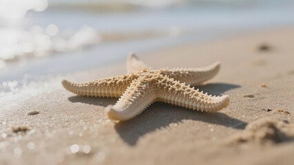 Starfish Resting on Sandy Beach Near Gentle Waves
