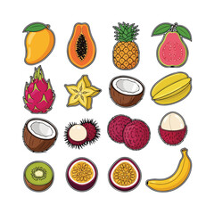 Collection of tropical fruits and berries in a flat illustration style mango papaya