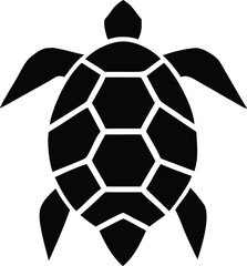 A classic black and white soccer ball sits isolated on a clean white background, ready for a team to play a game