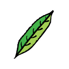 ILLUSTRATION FOR THE NATURE THEME	