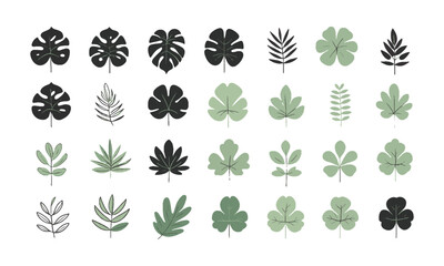 Minimalistic flat vector illustration line-art collection of various botanical leaves, tropical monstera, maple, fern, palm, clover, and simple foliage shapes, easily editable.