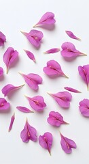 Vibrant pink flower petals scattered artfully on a clean white background for a delicate touch.