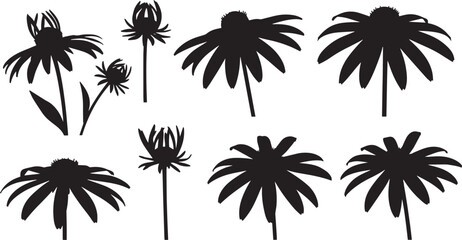 Rudbeckia Black-Eyed Susan Silhouette Vector Set