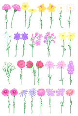Birth month flowers, rose, lily, poppy, cosmos, primrose, iris, sweet pea, lily of the valley, hawthorn, larkspur, gladiolus, aster, morning glory, jonquil gerbera. Set of birth month flowers. 