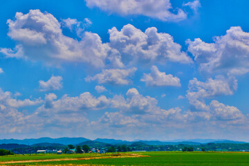 田んぼと大空（北海道・美唄市・岩三沢市）