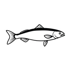 Fototapeta premium minimalist vector line art of a single arctic char.eps