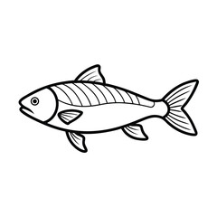 Obraz premium minimalist vector line art of a single grass carp .eps