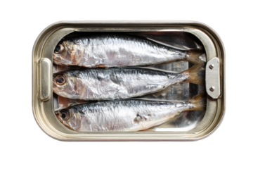Canned sardines in a metal tin