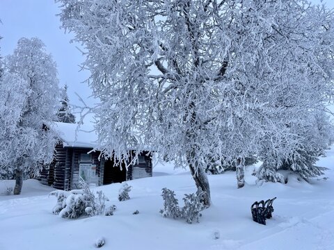 Winterland
