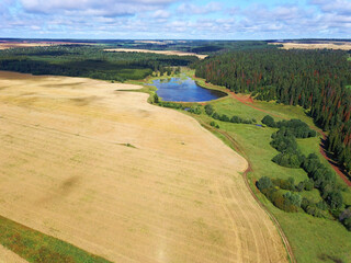 Aerial view landscape with wheat field and lake on sunny summer day