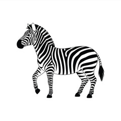 Fototapeta premium A striking black and white zebra standing proudly