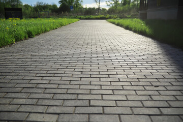 Summer landscape, lush green vegetation and nature.